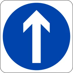 Singapore Ahead Only